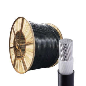 <span class=keywords><strong>Cable</strong></span> de <span class=keywords><strong>Aluminio</strong></span> de Alta Calidad YJLV de <span class=keywords><strong>50</strong></span> mm, Unipolar, Aislamiento XLPE de 0.6/1KV, Revestimiento de PVC, <span class=keywords><strong>Cable</strong></span> de Alimentación para Ferrocarriles, Marina y Minería - Product Image 3