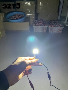 Nouvelles ampoules LED 12V à lentille transparente super lumineuses pour feux de freinage, clignotants et feux de recul pour voitures 33SMD 1157/1156/7440/7443T25 - Product Image 6