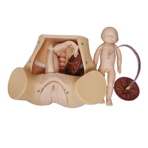 Mô hình mang thai mô phỏng sinh phụ khoa đào tạo manikin tiên tiến chuyển giao lao động mô hình đào tạo kỹ năng toàn diện - Product Image 2