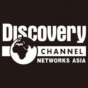 Autocollants de voiture en PVC à prix abordable OEM, lettrage découpé en vinyle, décalcomanies de transfert - Product Image 4