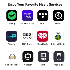 Reproductor de Música WiFi Arylic S10+ con Receptor de Audio 5.0, AirPlay, <span class=keywords><strong>Spotify</strong></span> Connect y Audio Multiroom - Product Image 4