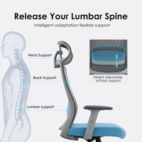 Chaise de bureau ergonomique certifiée BIFMA, capacité de charge 200 kg, mousse haute densité, avec support lombaire réglable en hauteur