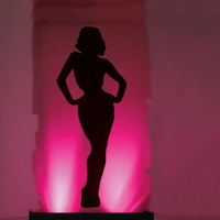 Cage lumineuse scène décorative plate-forme de danse décapant danse GOGO Cage scène lumières couleur LED GoGo plate-forme de danse