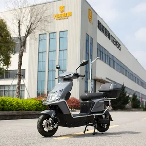 long range off road Cheap price 3000W 20AH lithium battery electric fat tire scooter big seat electric motorcycle