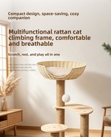 Structure d'escalade pour chat personnalisée en bois massif, motif tressé, capsule spatiale ronde minimaliste, maison pour chat