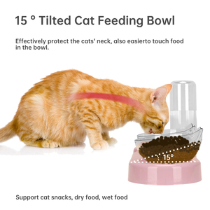 <span class=keywords><strong>Pink</strong></span> destacável ajustável Cat Food <span class=keywords><strong>Bowl</strong></span> com suporte Duplo 15 ° Tilted <span class=keywords><strong>Pet</strong></span> <span class=keywords><strong>Bowl</strong></span> com built-in dispensador de água Cat <span class=keywords><strong>Bowl</strong></span> Elevated - Product Image 2