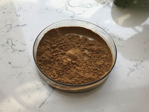 植物抽出物メーカー供給トリテルペノイドサポニン黒コホーシュエキス - Product Image 3