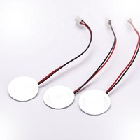 Disco Atomizador Microporoso de Cerámica Piezoeléctrica PZT de Alta Calidad para Equipos de Cuidado Dental y Bucal