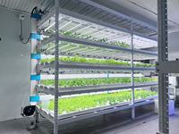 Système hydroponique vertical Reinfa FarmHydro, solution d'agriculture verticale intérieure pour la laitue