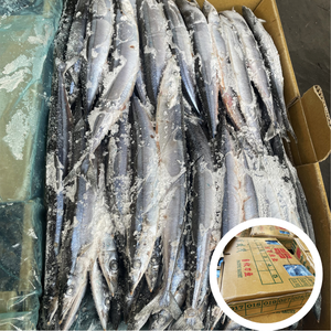 Saury del Pacífico Congelado a Granel, Tamaño Pequeño 3, Material Crudo Capturado en el Campo para Fábricas de Enlatado y Procesamiento de Snacks en el Sudeste Asiático - Product Image 2