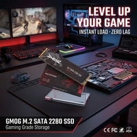 SSD M2 128GB 256GB 512GB 1TB SATA M.2 2280 NGFF Внутренний твердотельный накопитель для настольных ПК и ноутбуков