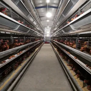 Jaula automática para aves de corral, jaula para gallinas ponedoras tipo H