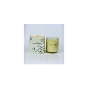 M y sentido de cáscara de cítricos y salvia 96*110Mm de vidrio de fragancia vela perfumada tarro - Product Image 1