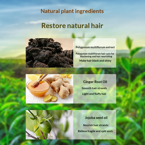 ครีมนวดผมสูตรออร์แกนิค วีแกน ผสมน้ำมันชา 5% ช่วยปรับสีผมให้กระจ่างใส 2-IN-1 ปกป้องสีผม ซ่อมแซมเส้นผม ด้วยสารสกัดจากข่าไฮโดรไลซ์ รับผลิตแบบ OEM ODM ขายส่ง - Product Image 3