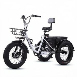 Vélo cargo électrique à batterie lithium 48 V 18 Ah, tricycle à trois roues avec pneus larges, pliable, pour transport utilitaire - Product Image 1