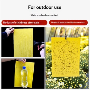 Piège à insectes en plastique solide double face 20*10 cm, autocollant imperméable pour mites, piège collant pour moucherons de serre/champ, épaisseur 0,23 mm - Product Image 5