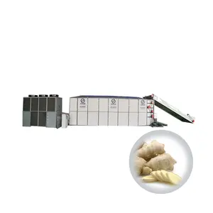 Ingwer Knoblauch Yam Trockner/Trocknungs maschine/Dehydrator/Trocknungs anlage für Lebensmittel