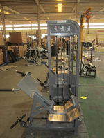 Équipement de gymnastique Pin Loaded Selection Strength Training Heavy-Duty Back Extension Machine for Professional Club