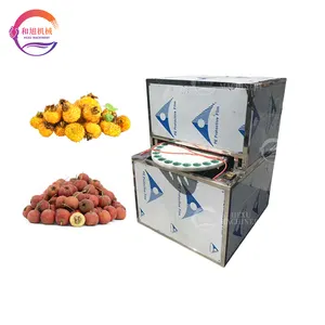 Turntable Type Plum Pitting Machine Automatic Prickly Pear Hawthorn Fruit Core Removing Machine