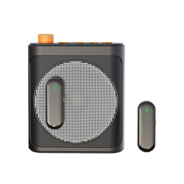 Portable BT Speaker Megaphone Wireless Voice Amplifier with 2 Microphones for Training Teaching Yoga Meeting Speech