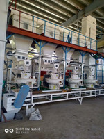 Rotex Master 2-3tph 160kw Machine de presse à granulés, appareil en bois avec CE