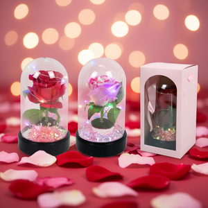 Rosa Singola EB con Cupola di Vetro Illuminata 7,5 Pollici, Decorazioni per San Valentino - Product Image 2