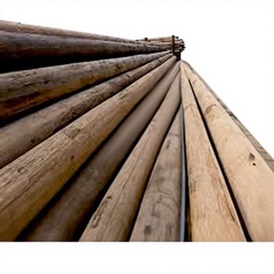 33KV Round Carbon Steel Electric <b>Poles</b> Hot Dip Galvanized Resistant to 200 km/h Wind Electricity Transmission - Product Image 1