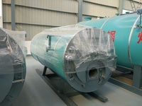 Chaudière à vapeur à gaz/chaudière à eau chaude à gaz/réchaud à gaz pour usage industriel, 1, 2, 5, 8 tonnes