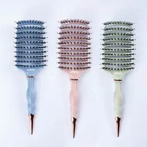 2022 nouvelle brosse à cheveux en poils de sanglier en paille de blé biodégradable Eco avec queue de pling