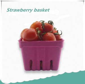 Tùy Chỉnh Màu Phân Hủy Sinh Học Giấy Bột Giấy Đúc Hộp Trái Cây Cho Berry - Product Image 5