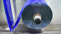 S-110 machine d'emballage horizontale entièrement automatique multifonctionnelle de poche de sac en plastique d'Acepack pour la nourriture avec la fonction d'étiquetage