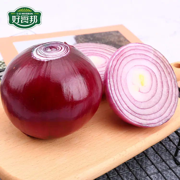 Hot selling red onion wholesale fresh onion with market price