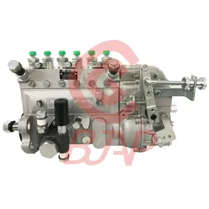 Weichai DeutzTBD226B-6 מנוע משאבת הזרקת 13021363 120KW משאבת CRSV450. .. 750AD0C208R