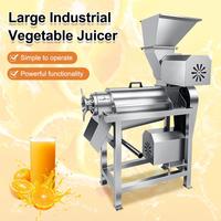 Gemakkelijk te reinigen industriële mango-, aardbei- en tomatenpulpmachine, groente- en fruitpulper