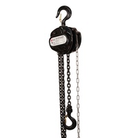 Poulie pour treuil de palan mécanique, grue Vital 5 tonnes, prix 1 tonne, bloc de chaîne VD, poulie de 3 tonnes