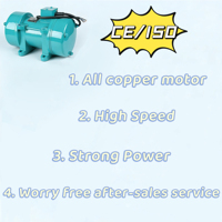 ACE Externer Betonvibrator Motor ZW-Serie 1PS-4PS 220V/380V Hochfrequenz 3000Hz Tragbarer Vibrator 1-8m Flexibler Schaft