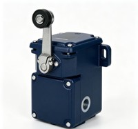 Nouveau capteur de fin de course en stock TD250-02/02Z-RMS – Fournisseur d'or fiable, garantie d'un an