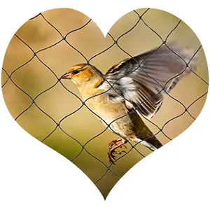 Plastic bird trap Hdpe Anti Bird mesh Protection Net farming nets for agriculture