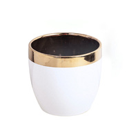Petits pots de fleurs en céramique de luxe avec galvanoplastie émaillée pour pots de plantes succulentes d'intérieur pour la maison et le jardin
