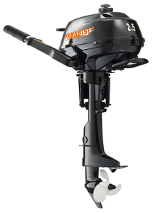 Moteurs 20 CV, Moteurs 4 temps, Moteur de bateau 4 temps - Product Image 6
