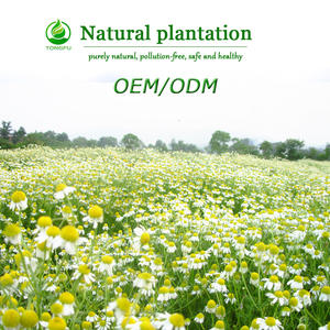 100% puro olio essenziale biologico 44 gusti tra cui limone rosa lavanda terapeutico geranio legno di sandalo Lime etichetta privata - Product Image 6