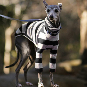 <span class=keywords><strong>Ropa</strong></span> para mascotas, camisa de fondo, suéter de dos piernas, Whippet <span class=keywords><strong>Doberman</strong></span> Pinscher, <span class=keywords><strong>ropa</strong></span> para perros a rayas - Product Image 2
