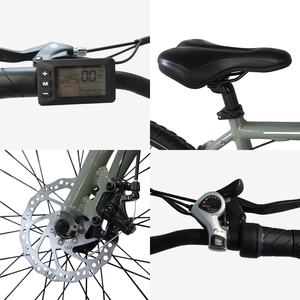 Bicicletta Elettrica da Montagna e <span class=keywords><strong>Gravel</strong></span> E-Bike per Adulti, 36V 750W 14Ah, Motore da 350W, Batteria al Litio, Versioni USA/UE - Product Image 5