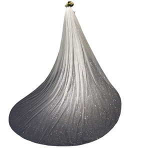 Voiles de mariée scintillants blanc champagne longs style cathédrale avec peigne 1 couche <span class=keywords><strong>Velo</strong></span> De Novia - Product Image 4