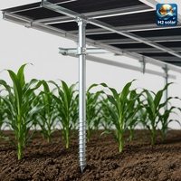 Système de montage au sol agrivoltaïque H2 Solar à vis, support solaire surélevé à double usage pour l'agriculture
