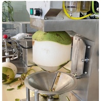 Industriële pneumatische roestvrijstalen messen groene kokosnoot schilmachine kokosnootverwerkingsmachine snelle schilmachine voor hoge verkoopcijfers