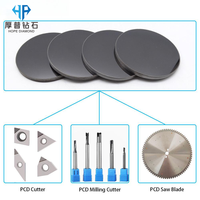 Pointes PCD, fraises PDC, plaquettes PCBN et CBN vierges pour outils de coupe de pierre et de briques et usage industriel