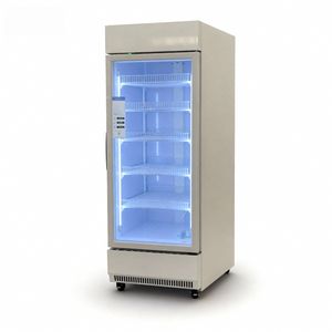 Commerciële gekoelde koelvitrine met roestvrijstalen deur, digitale temperatuurregeling, luchtgekoeld, directe koeling, mechanisch - Product Image 2