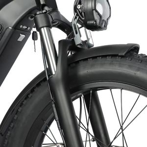 Bicicleta Eléctrica de 2000W con Motor Trasero, Batería de Litio de 21AH, Cuadro de Aluminio, Sistema de Discos de 48V, 20*2.8'', 7 Velocidades - Product Image 4