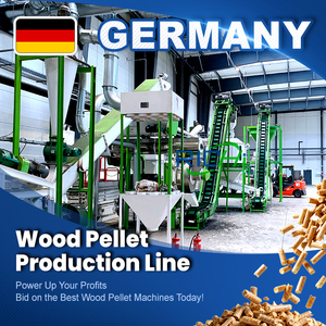 Planta de Pellets de Madera RICHI 2-3 T/H - Línea de Producción de Pellets de Madera Húmeda de Biomasa con Secador de Madera, Alemania - Product Image 1